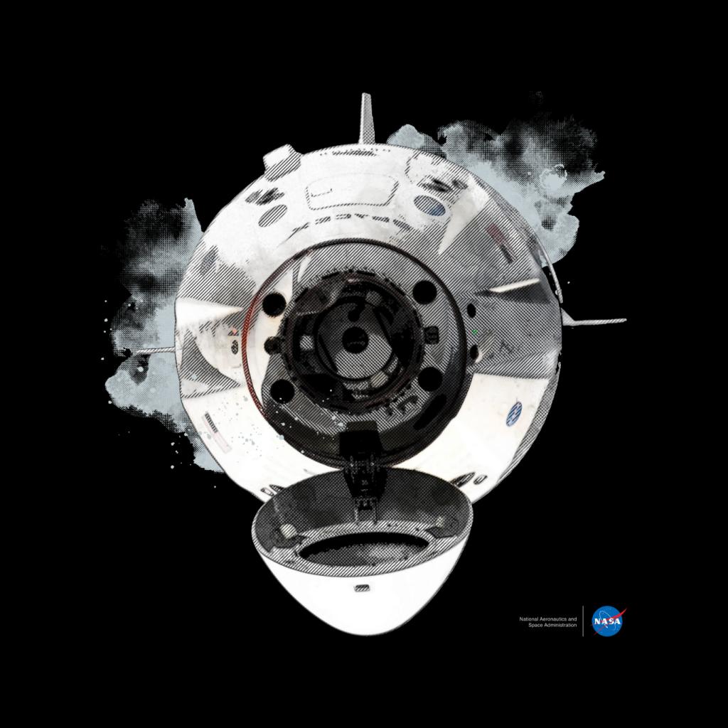 NASA SpaceX Dragon Capsule Docking Kid's Sweatshirt-ALL + EVERY