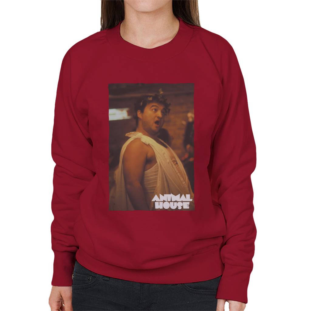 Animal House John Bluto Blutarsky Dressed In Toga Women's Sweatshirt-ALL + EVERY