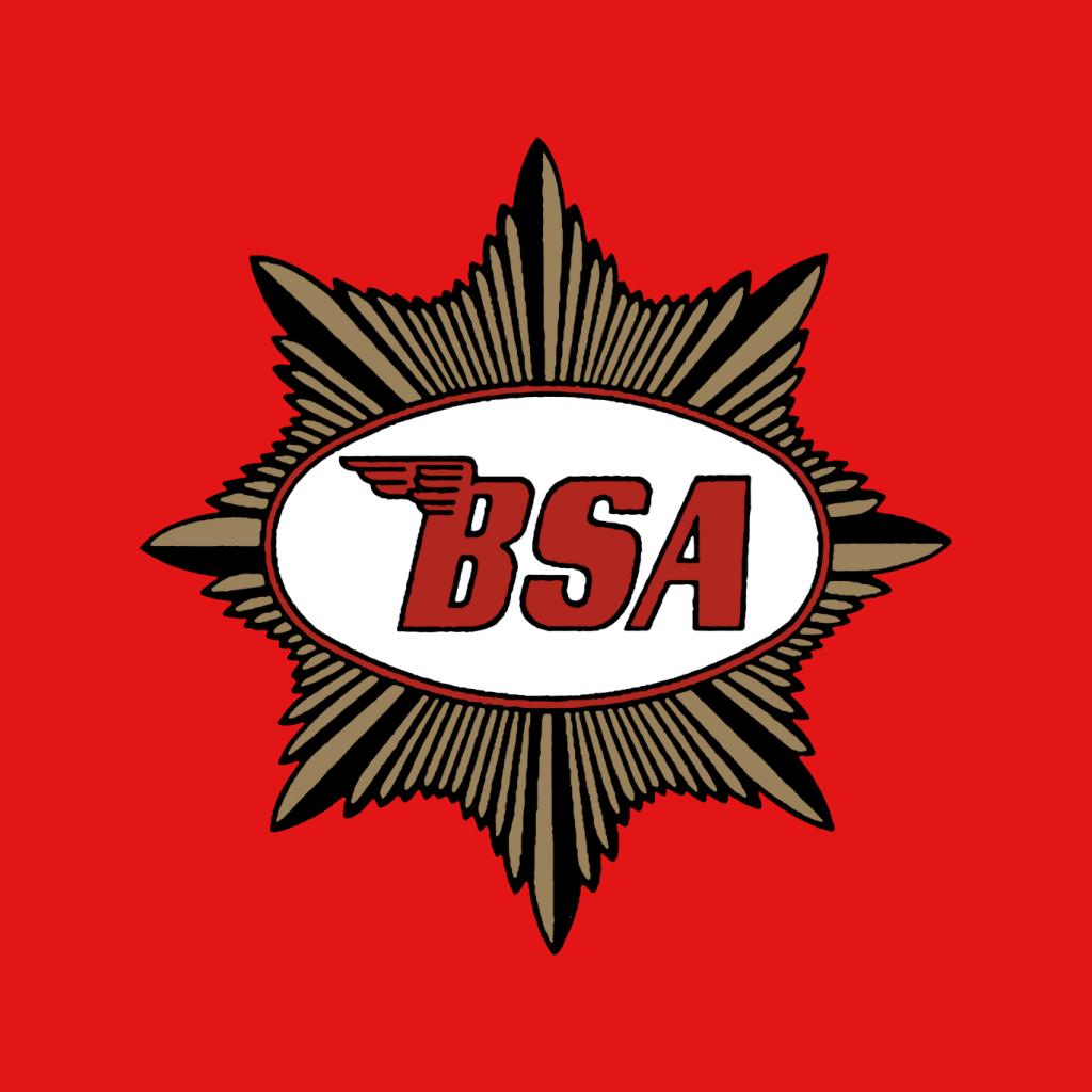 BSA Red Logo Gold Badge Men's Hooded Sweatshirt-ALL + EVERY