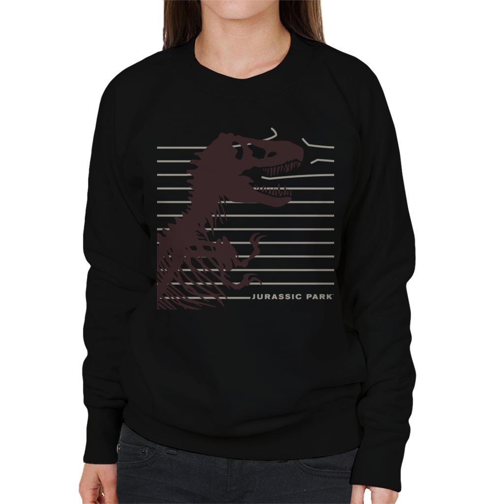 Jurassic Park T Rex Skeleton Destroying Wire Women's Sweatshirt-ALL + EVERY