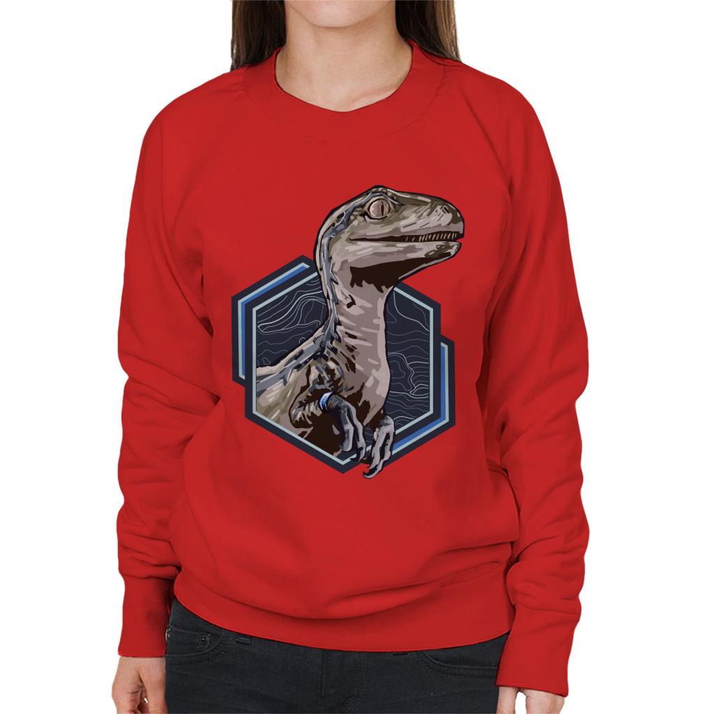 Jurassic Park Blue Raptor Women's Sweatshirt-ALL + EVERY