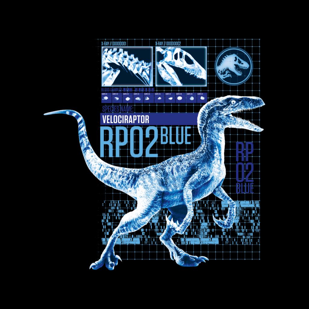 Jurassic Park Raptor Rp02 Blue Men's Hooded Sweatshirt-ALL + EVERY