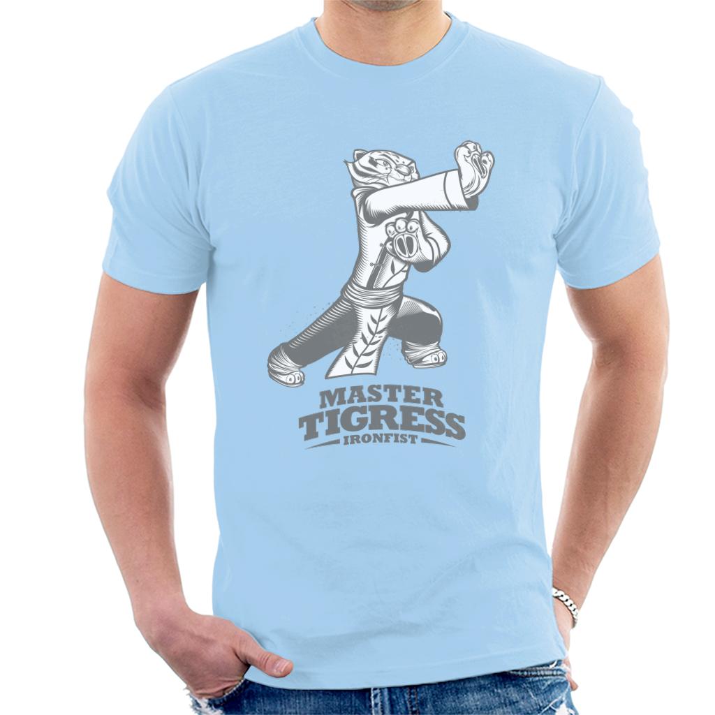 Kung Fu Panda Master Tigress Ironfist Men's T-Shirt-ALL + EVERY