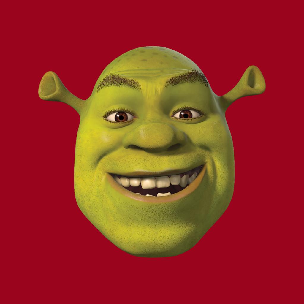 Shrek Smiling Women's Hooded Sweatshirt-ALL + EVERY