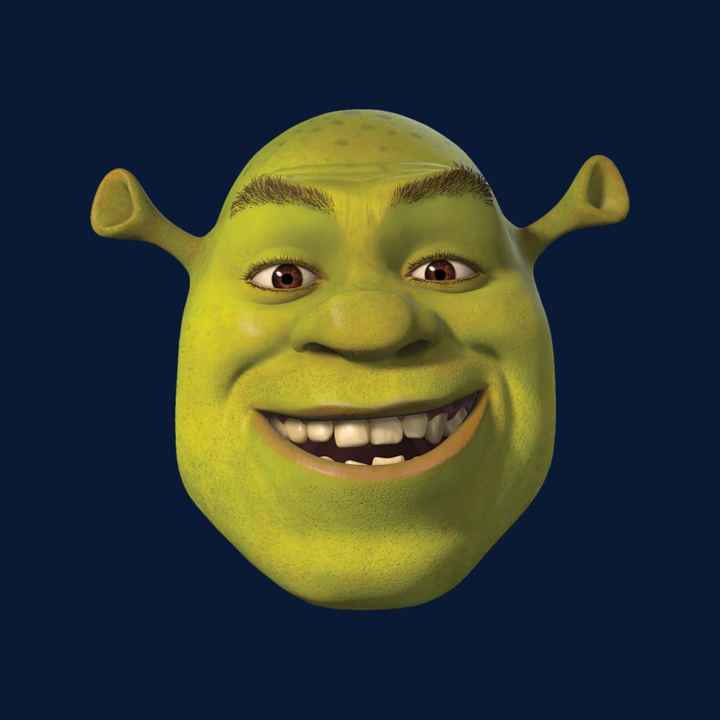 Shrek Smiling Women's Hooded Sweatshirt-ALL + EVERY