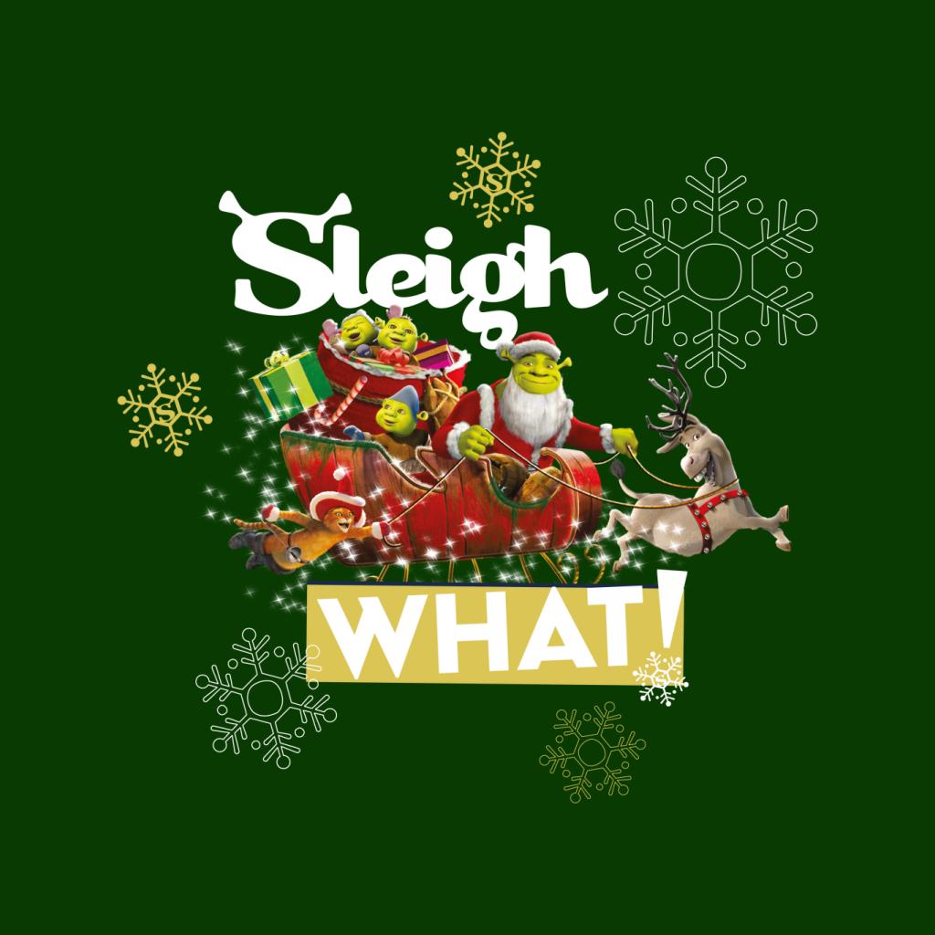 Shrek Christmas Sleigh What Women's Sweatshirt-ALL + EVERY