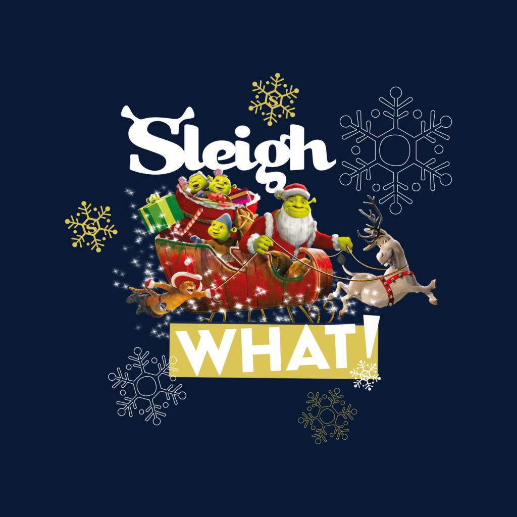 Shrek Christmas Sleigh What Men's T-Shirt-ALL + EVERY