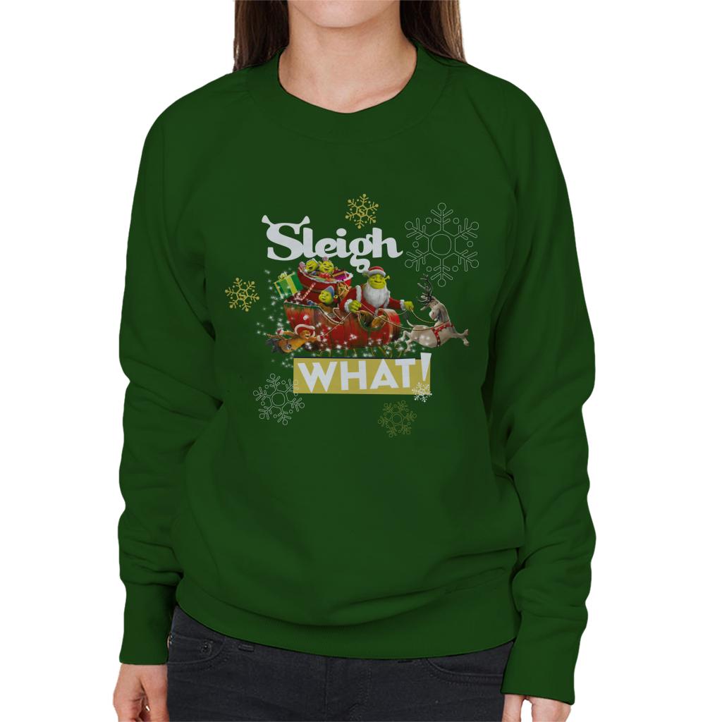 Shrek Christmas Sleigh What Women's Sweatshirt-ALL + EVERY