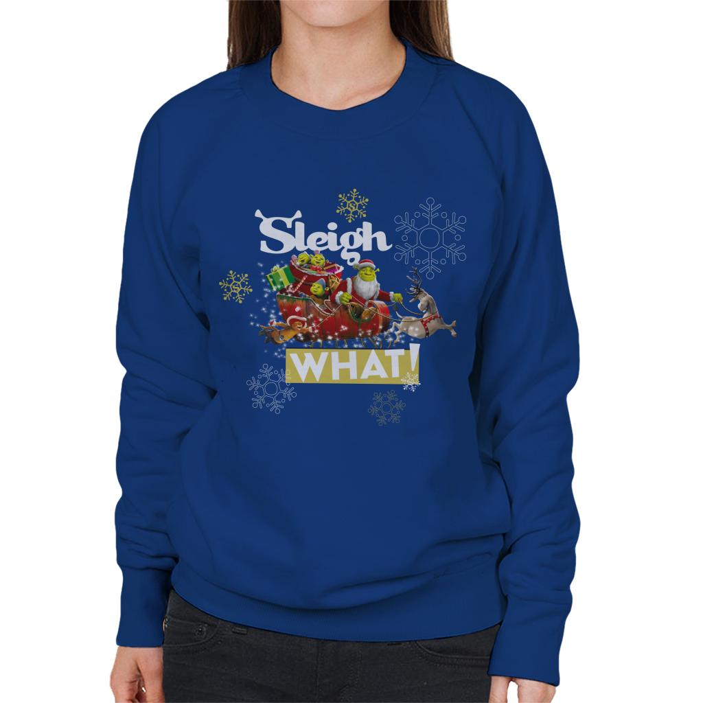 Shrek Christmas Sleigh What Women's Sweatshirt-ALL + EVERY