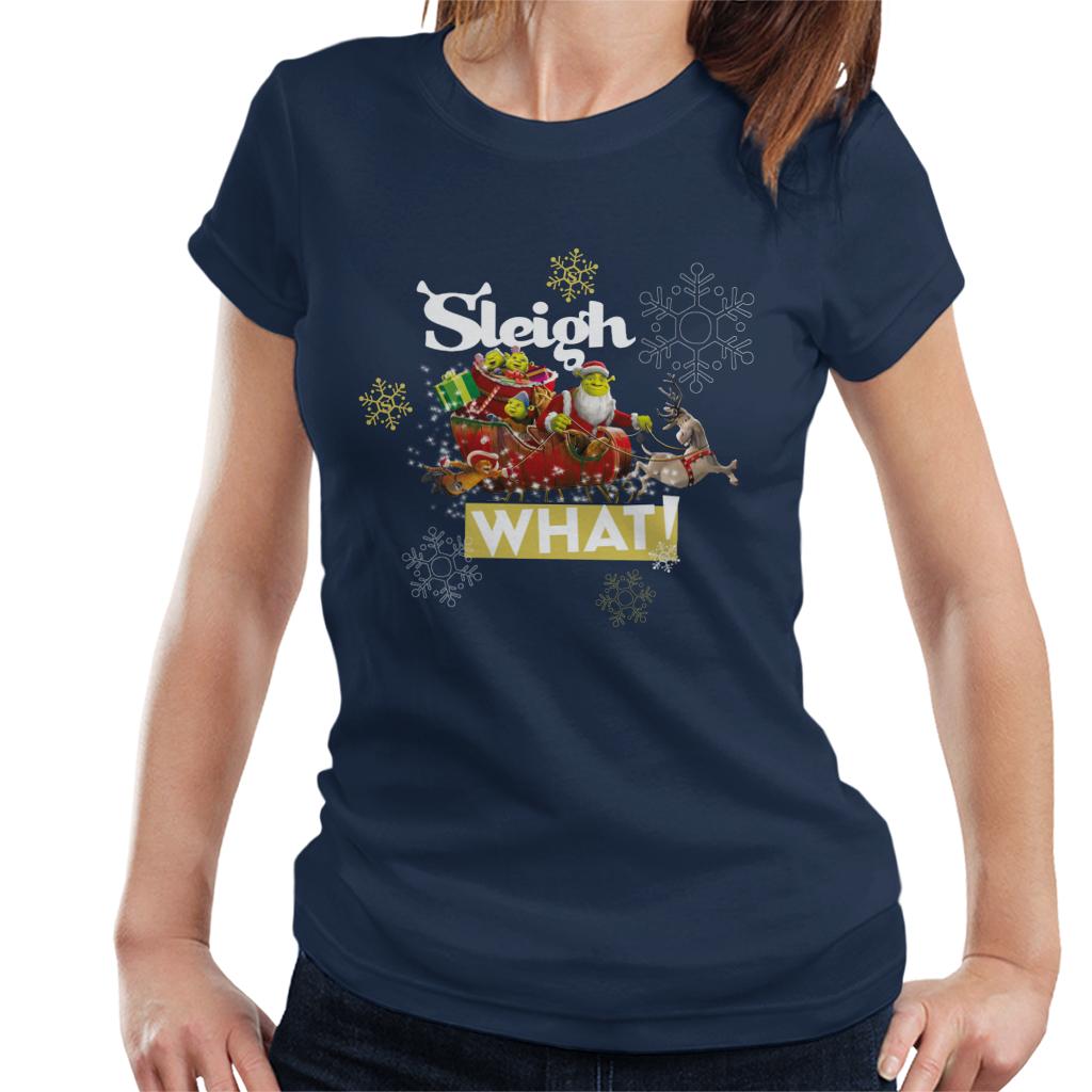 Shrek Christmas Sleigh What Women's T-Shirt-ALL + EVERY