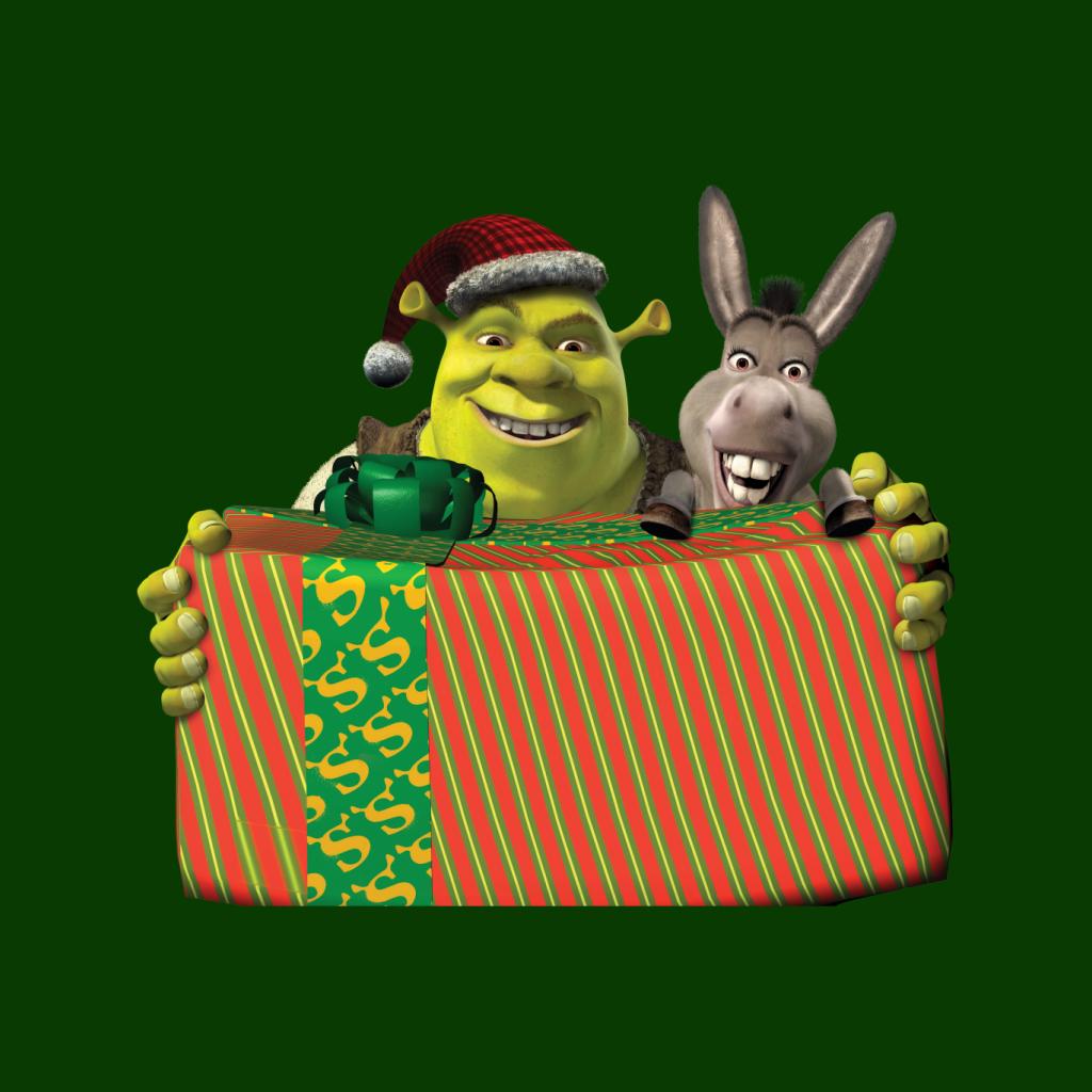 Shrek Christmas Shrek And Donkey Festive Box Men's T-Shirt-ALL + EVERY