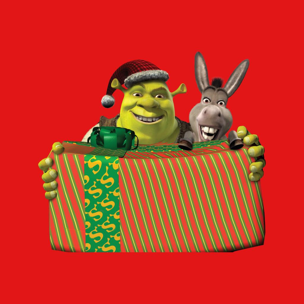 Shrek Christmas Shrek And Donkey Festive Box Men's T-Shirt-ALL + EVERY