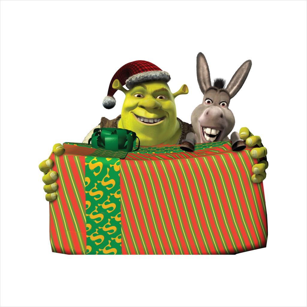 Shrek Christmas Shrek And Donkey Festive Box Men's T-Shirt-ALL + EVERY