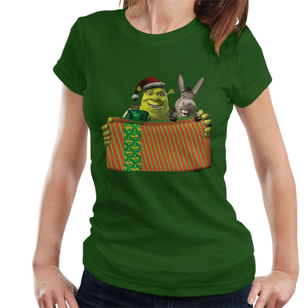 Shrek Christmas Shrek And Donkey Festive Box Women's T-Shirt-ALL + EVERY