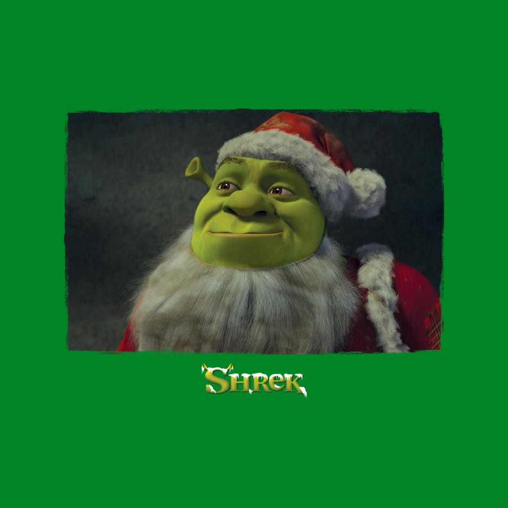 Shrek Christmas Father Christmas Men's T-Shirt-ALL + EVERY