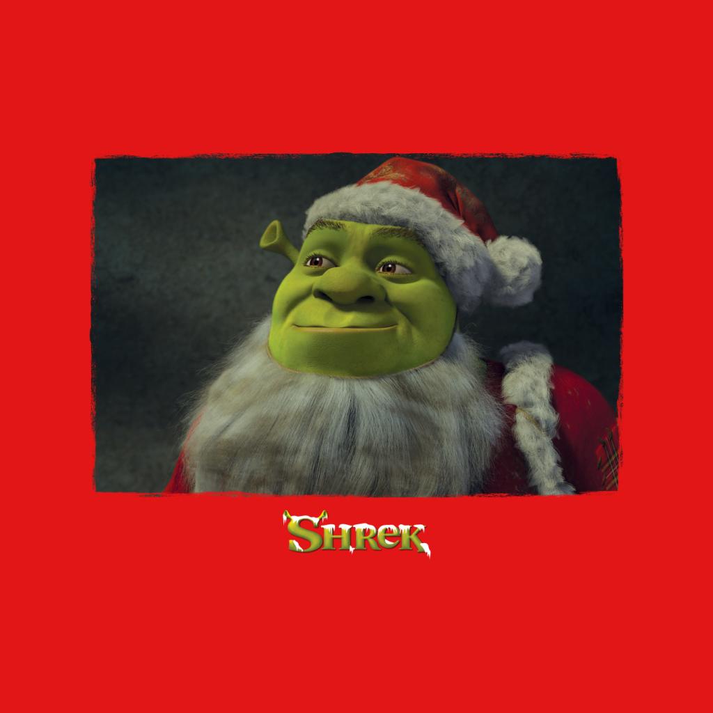 Shrek Christmas Father Christmas Women's T-Shirt-ALL + EVERY