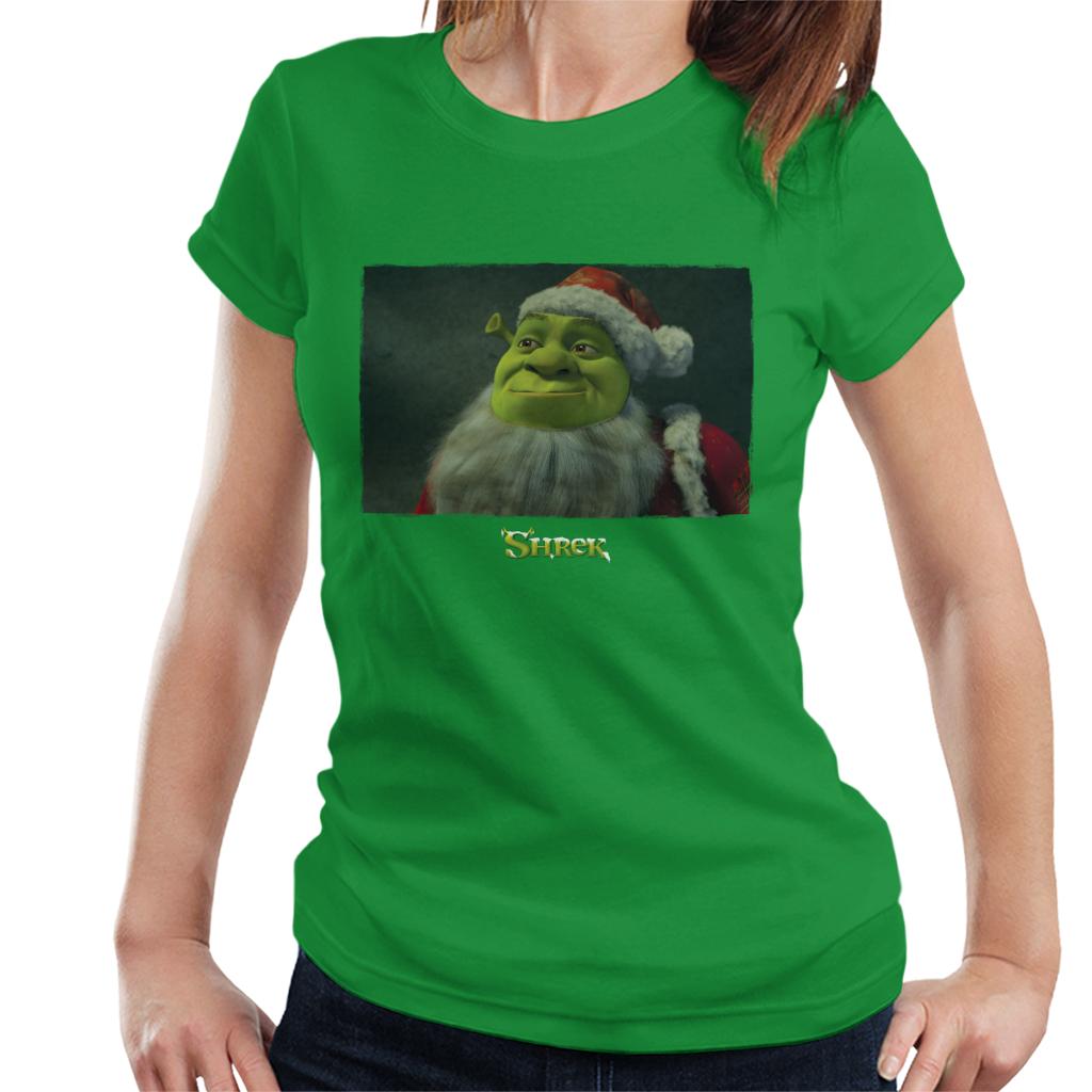 Shrek Christmas Father Christmas Women's T-Shirt-ALL + EVERY