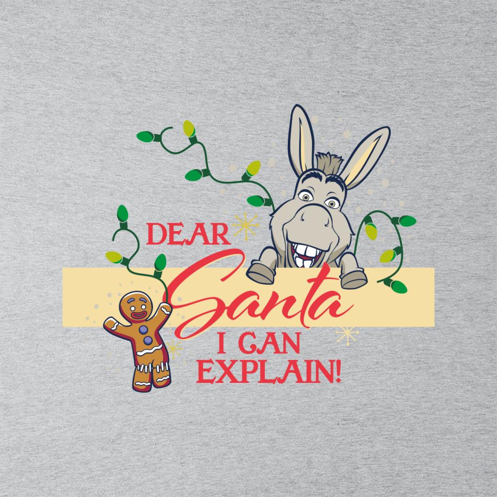 Shrek Christmas Donkey Dear Santa I Can Explain Men's T-Shirt-ALL + EVERY