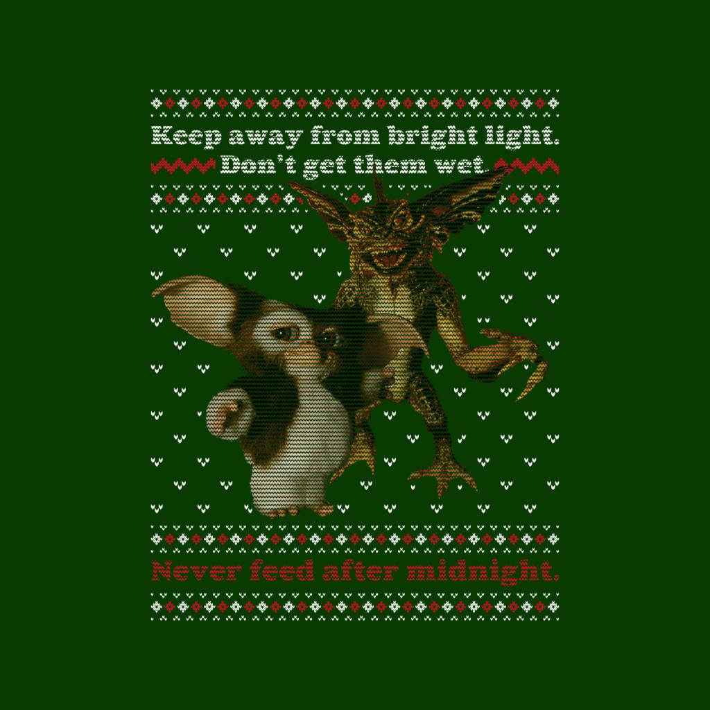 Gremlins Christmas Gizmo And Stripe Never Feed After Midnight Women's Hooded Sweatshirt-ALL + EVERY