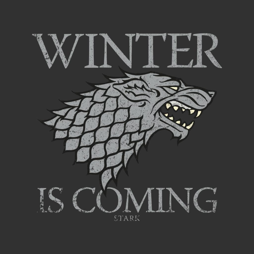 Game Of Thrones House Stark Winter Is Coming Men's T-Shirt-ALL + EVERY