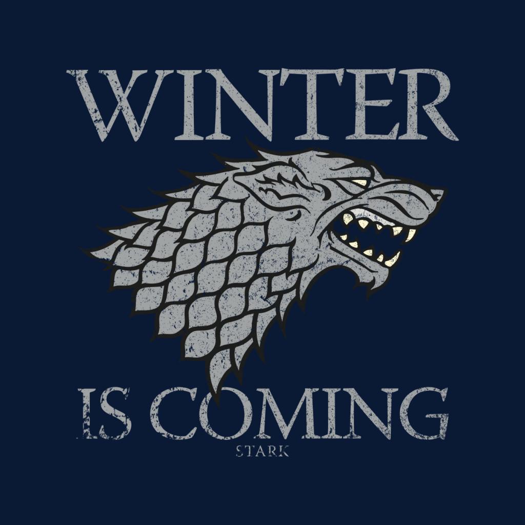 Game Of Thrones House Stark Winter Is Coming Men's T-Shirt-ALL + EVERY