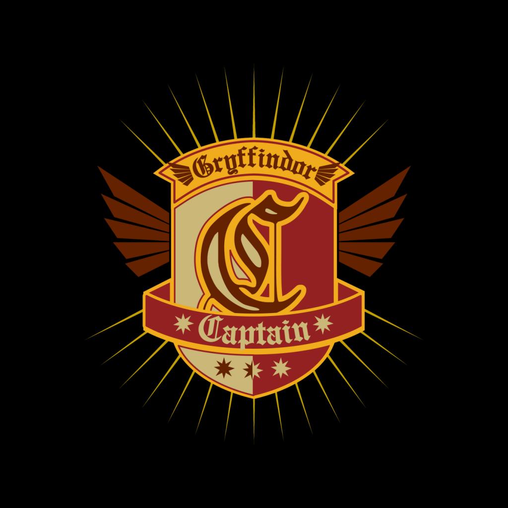 Harry Potter Quidditch Team Gryffindor Men's Sweatshirt-ALL + EVERY