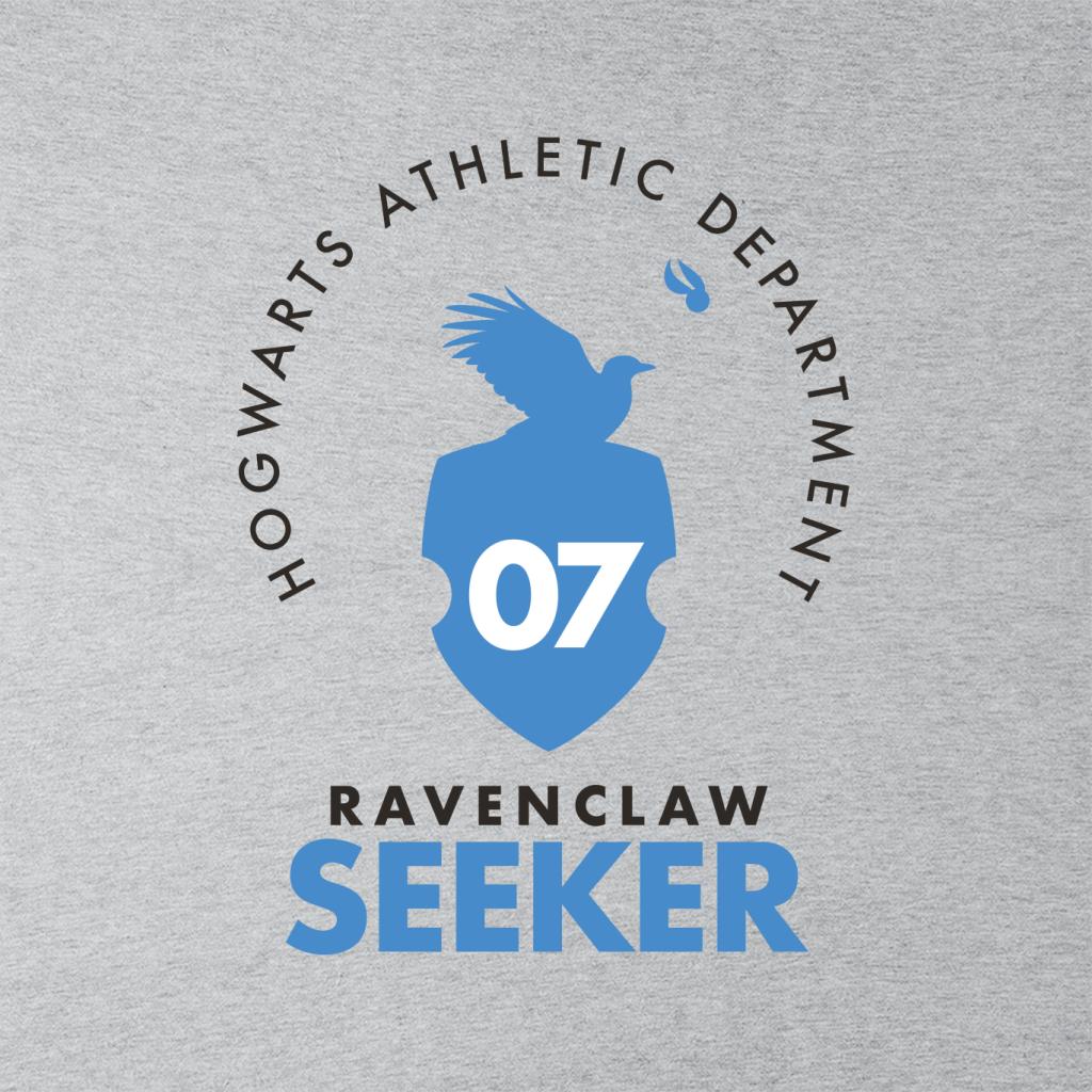 Harry Potter Quidditch Athletic Dept Ravenclaw Seeker Men's Hooded Sweatshirt-ALL + EVERY