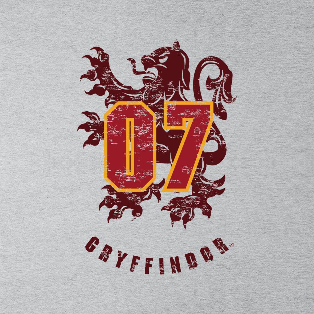 Harry Potter Quidditch Gryffindor 07 Team Badge Kid's Hooded Sweatshirt-ALL + EVERY