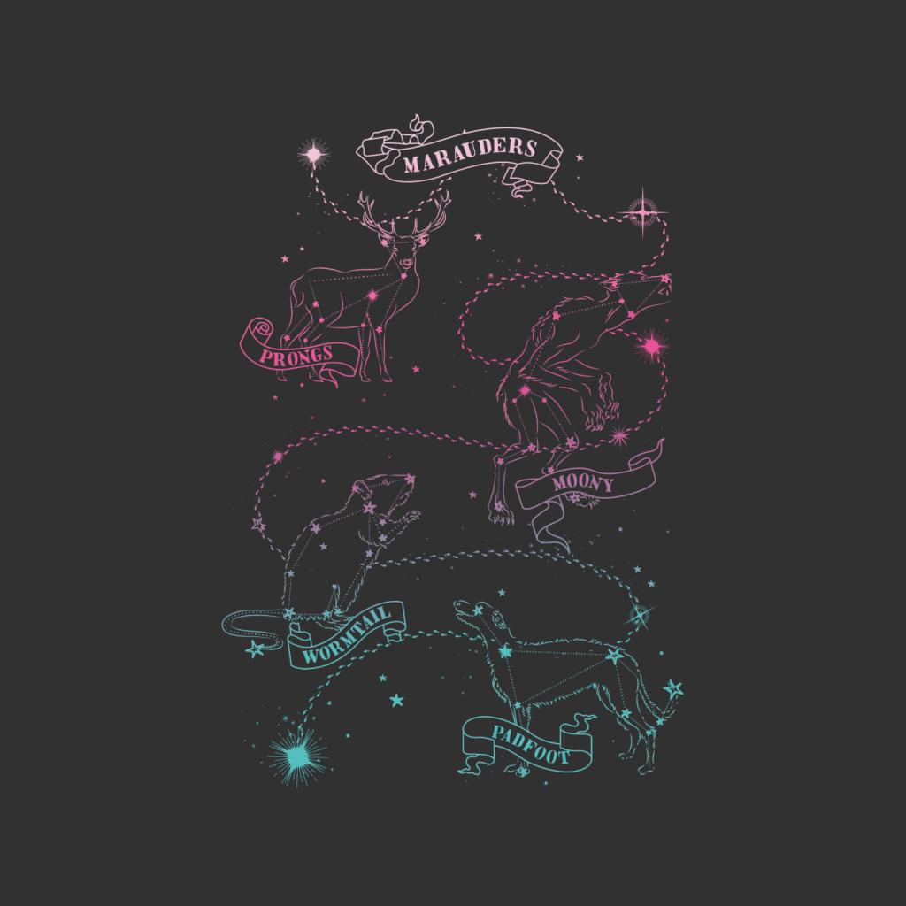 Harry Potter Marauders Animagi Constellations Women's Hooded Sweatshirt-ALL + EVERY
