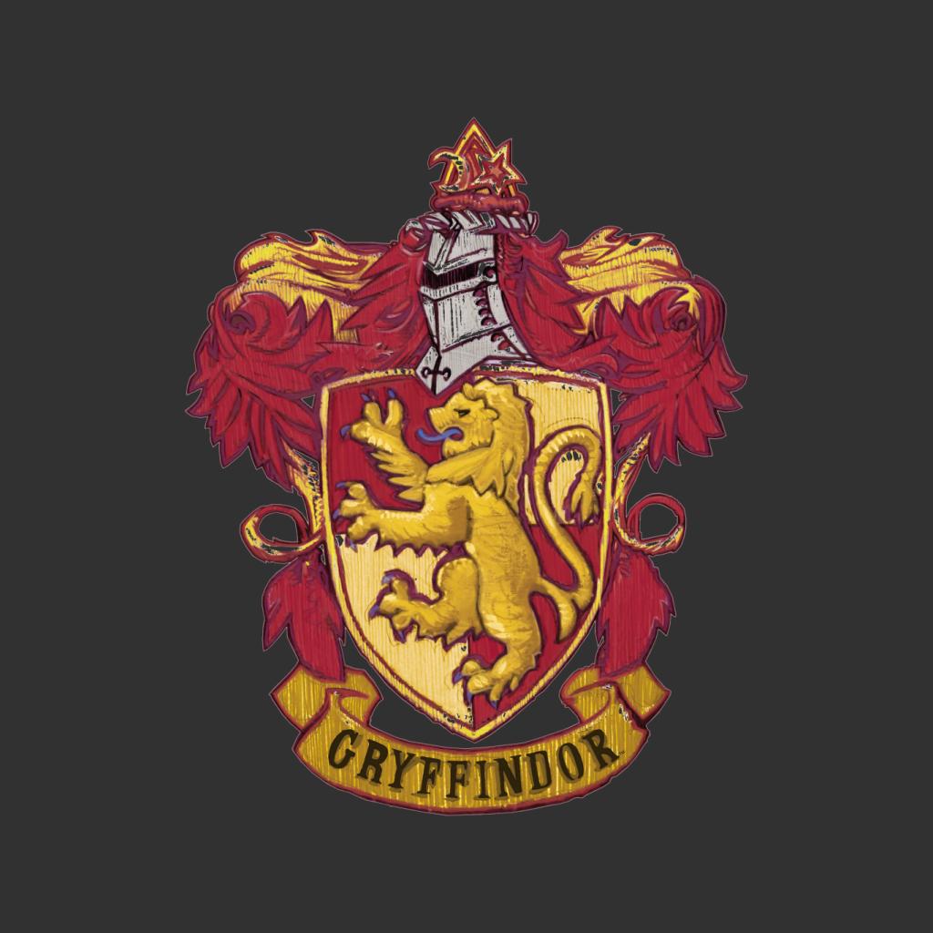 Harry Potter Gryffindor House Crest Kid's Sweatshirt-ALL + EVERY