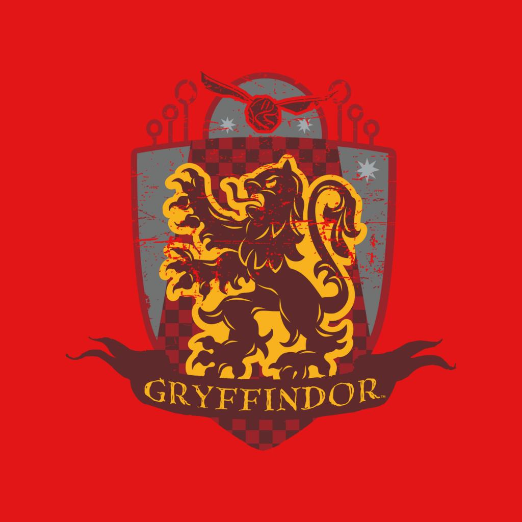 Harry Potter Gryffindor Quidditch Distressed Shield Men's T-Shirt-ALL + EVERY