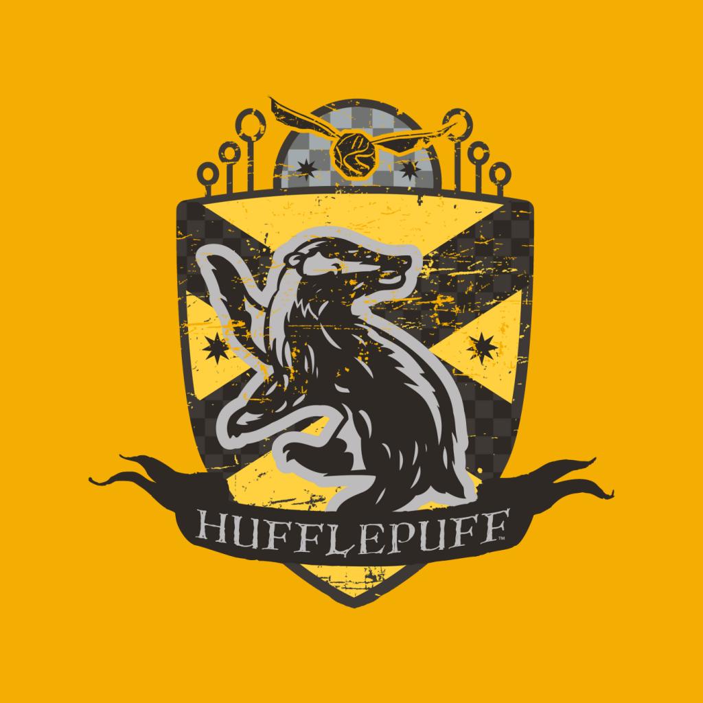 Harry Potter Hufflepuff Quidditch Distressed Shield Women's Sweatshirt-ALL + EVERY