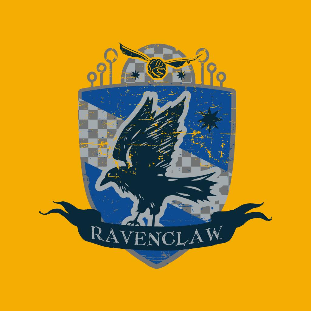 Harry Potter Ravenclaw Quidditch Distressed Shield Men's T-Shirt-ALL + EVERY