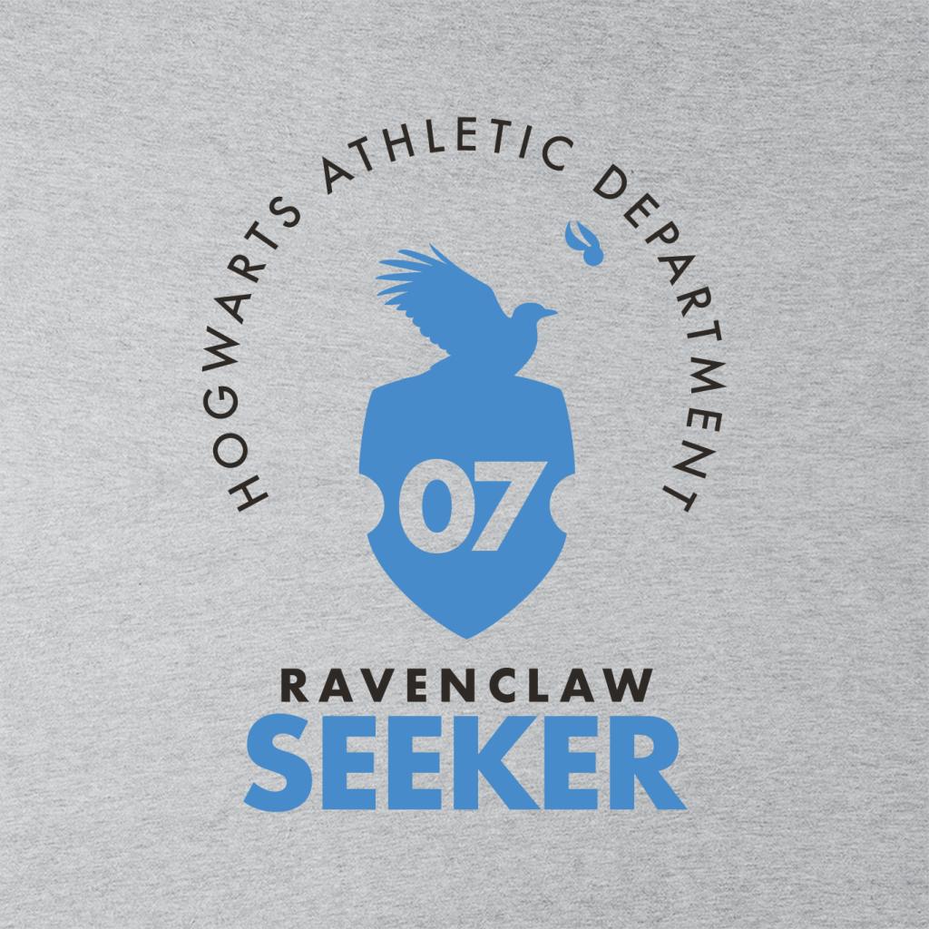 Harry Potter Ravenclaw Quidditch Seeker Men's Sweatshirt-ALL + EVERY