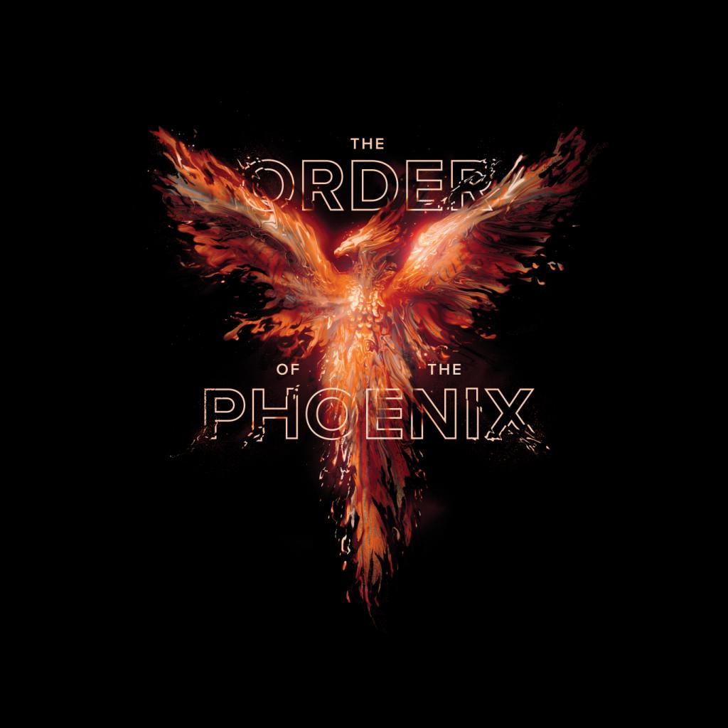 Harry Potter The Order Of The Phoenix Men's Sweatshirt-ALL + EVERY