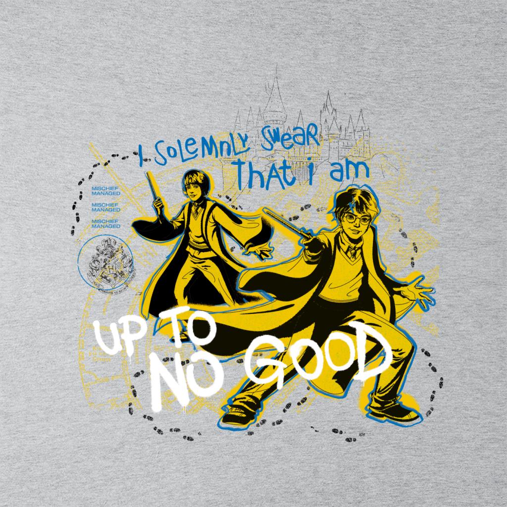 Harry Potter And Ron I Solemnly Swear I Am Up To No Good Men's T-Shirt-ALL + EVERY