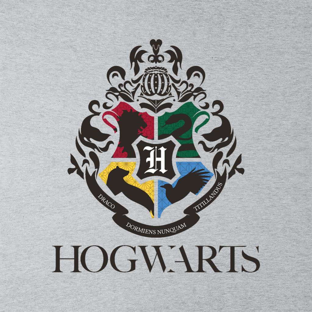 Harry Potter Hogwarts Animal Houses Logo Men's T-Shirt-ALL + EVERY