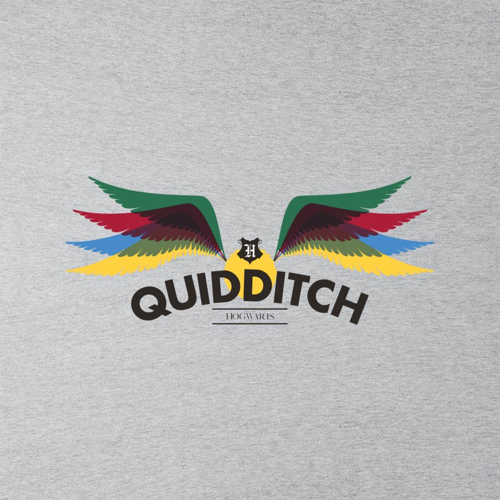 Harry Potter Hogwarts Quidditch Golden Snitch Rainbow Men's Hooded  Sweatshirt