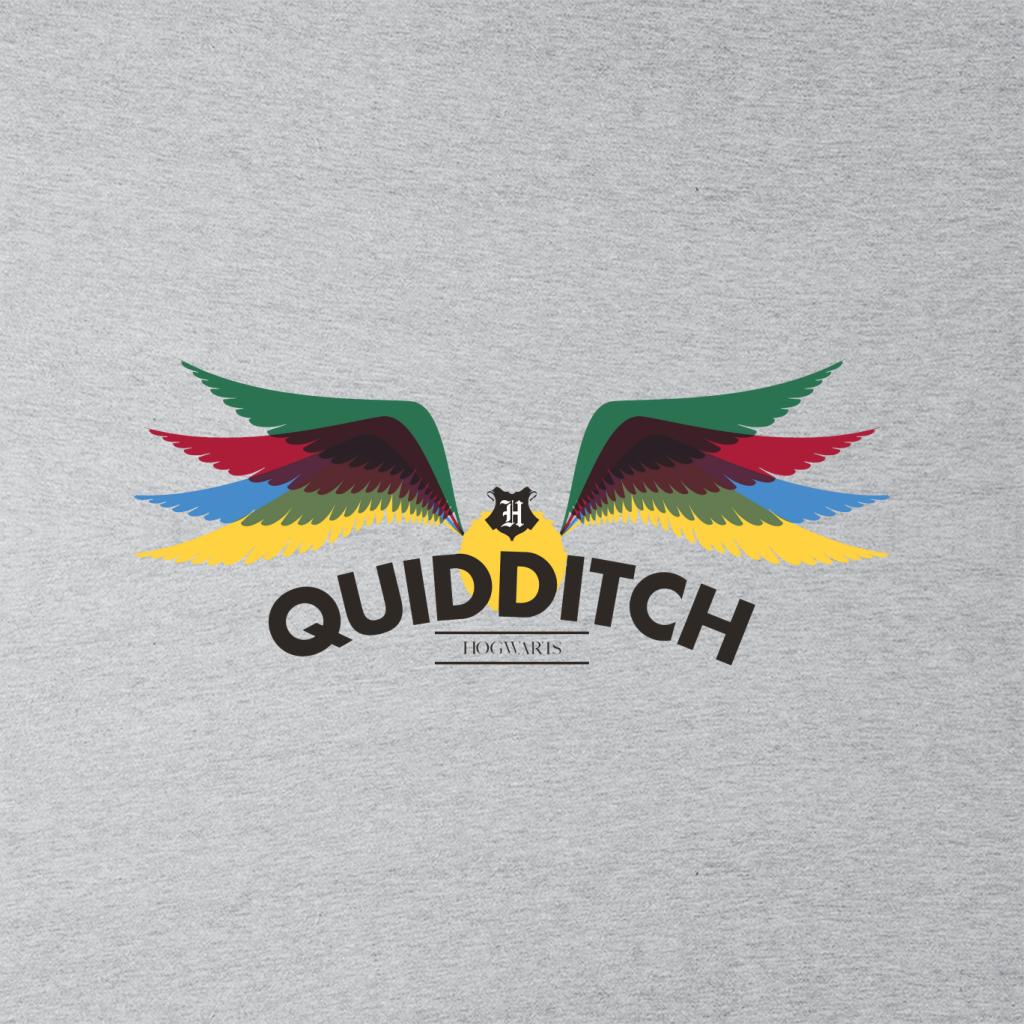 Harry Potter Hogwarts Quidditch Golden Snitch Rainbow Men's Hooded Sweatshirt-ALL + EVERY