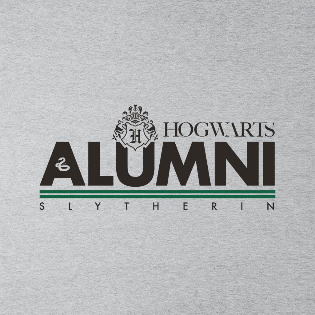 Harry Potter Hogwarts Alumni Slytherin Men's Hooded Sweatshirt-ALL + EVERY