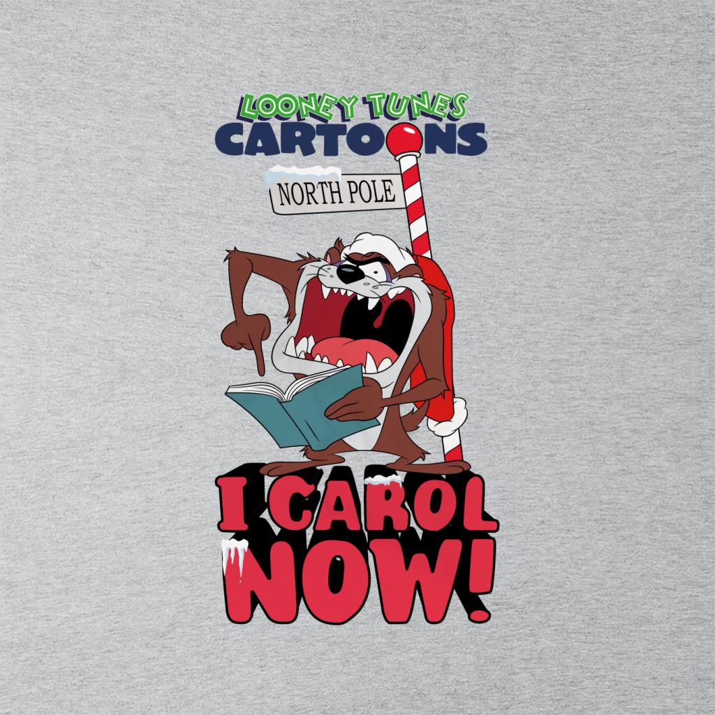 Looney Tunes Christmas Taz I Carol Now Women's Hooded Sweatshirt-ALL + EVERY