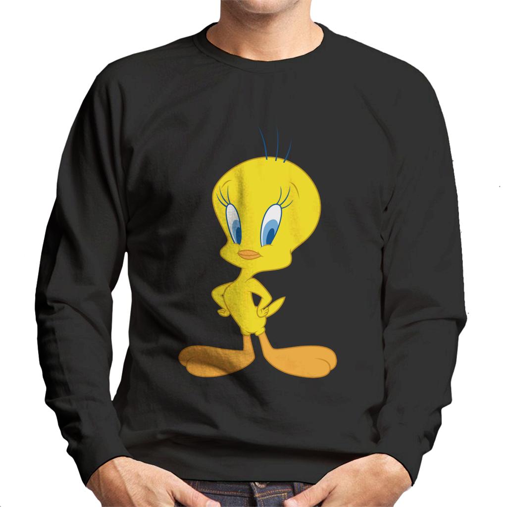 Looney Tunes Tweety Pie Men's Sweatshirt-ALL + EVERY