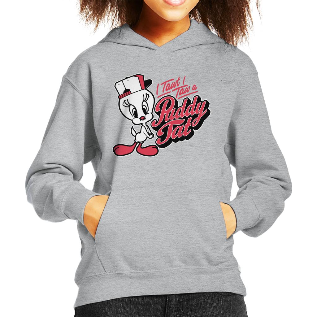 Looney Tunes Tweety Baseball Puddy Tat Kid's Hooded Sweatshirt-ALL + EVERY