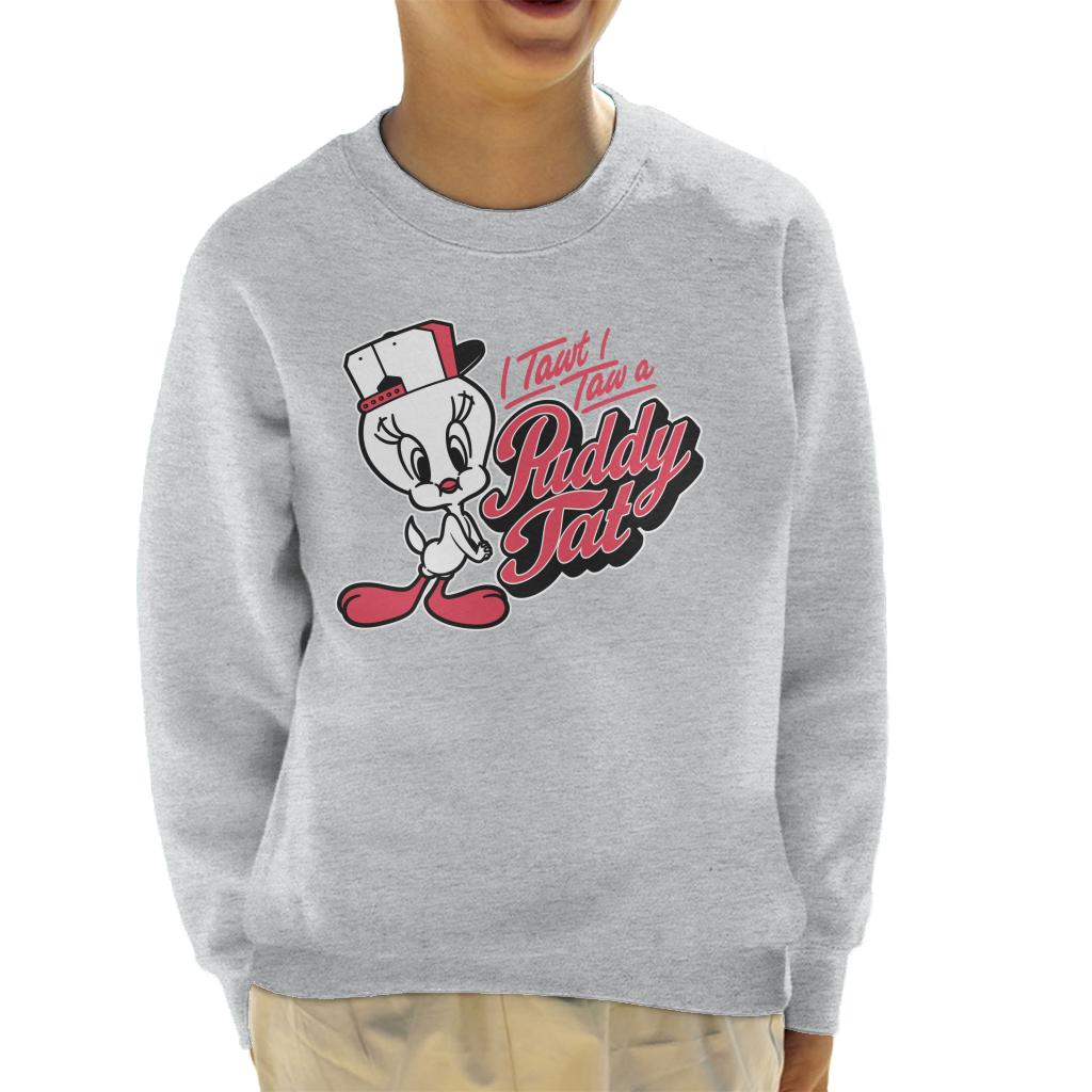 Looney Tunes Tweety Baseball Puddy Tat Kid's Sweatshirt-ALL + EVERY