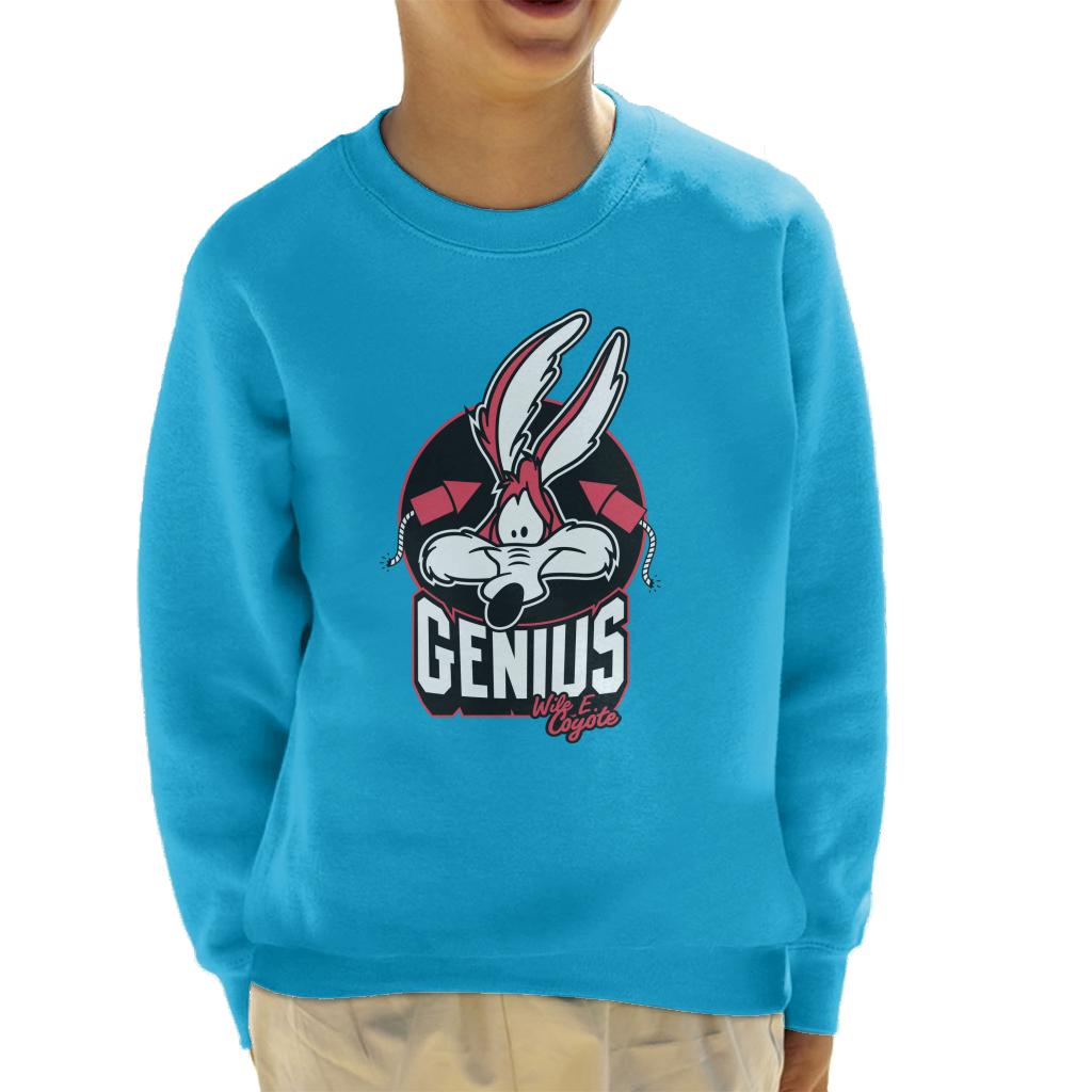 Looney Tunes Wile E Coyote Genius Rockets Kid's Sweatshirt-ALL + EVERY