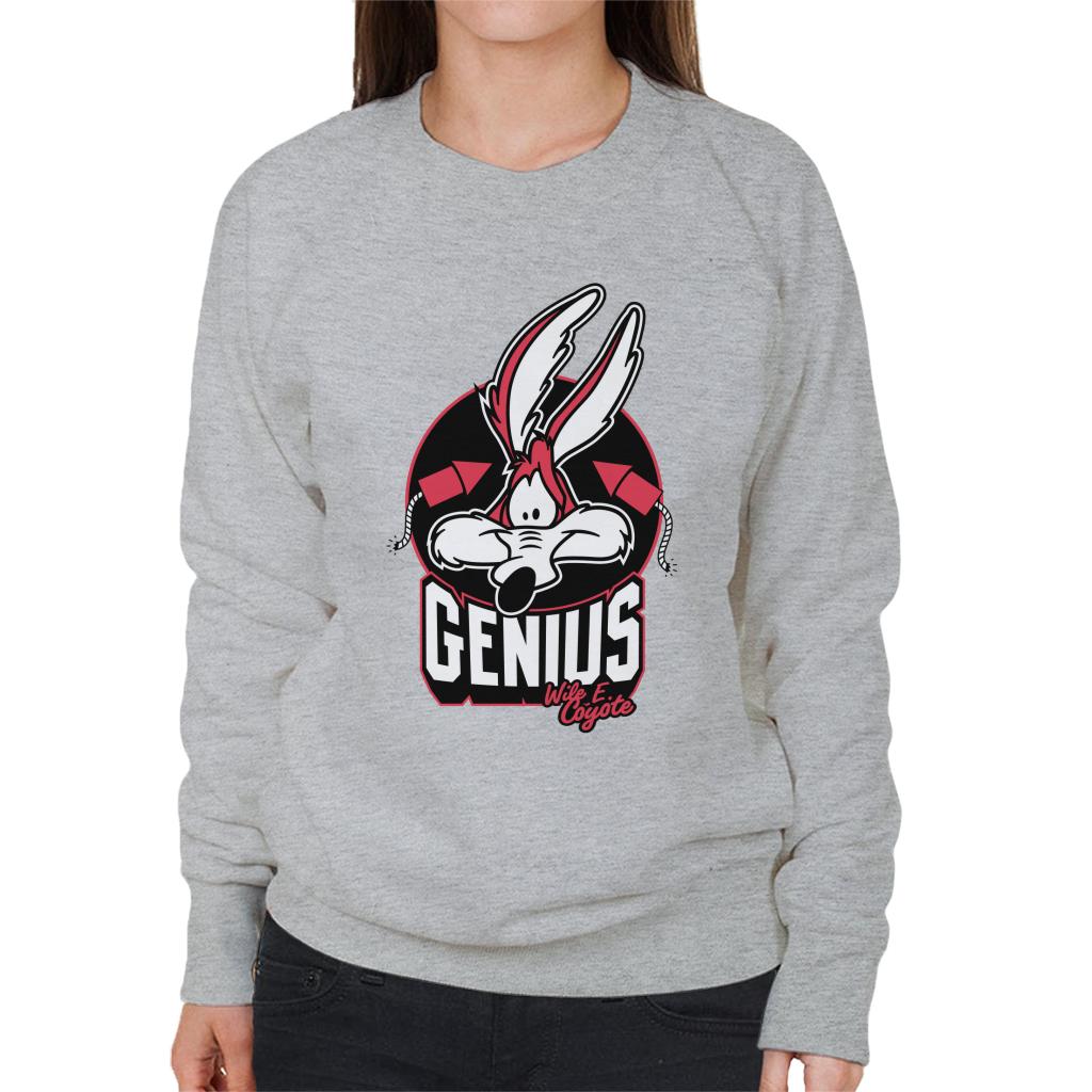 Looney Tunes Wile E Coyote Genius Rockets Women's Sweatshirt-ALL + EVERY