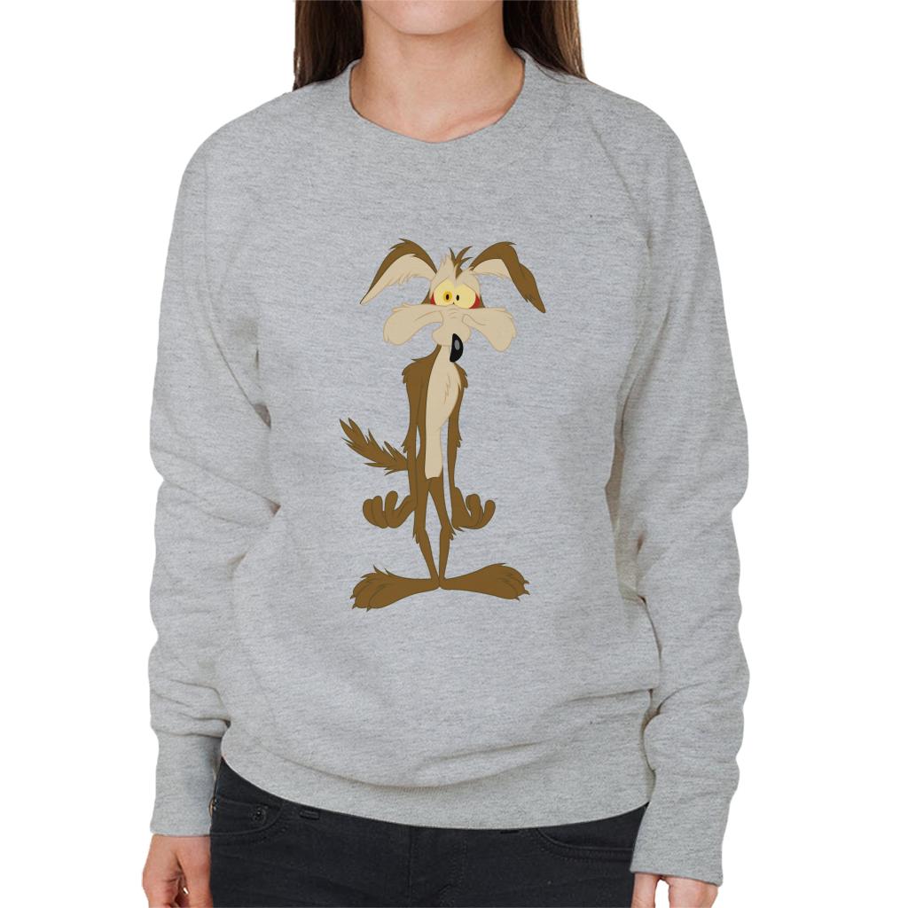 Looney Tunes Wile E Coyote In Trouble Women's Sweatshirt-ALL + EVERY