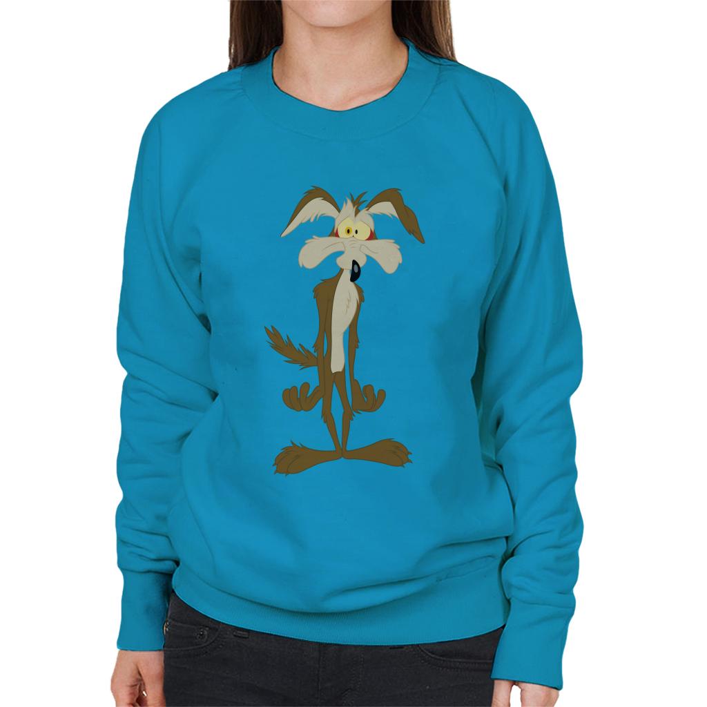 Looney Tunes Wile E Coyote In Trouble Women's Sweatshirt-ALL + EVERY