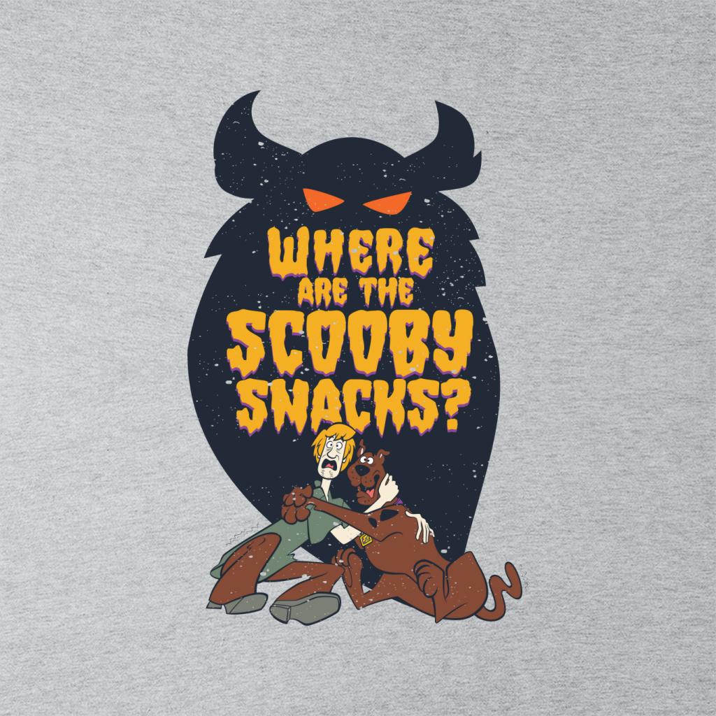 Scooby Doo Halloween Where Are The Scooby Snacks Men's Hooded Sweatshirt-ALL + EVERY