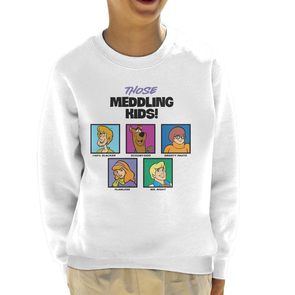 Scooby Doo Those Meddling Kids Character Tiles Kid's Sweatshirt-ALL + EVERY